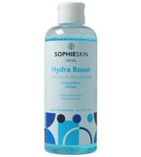 Hydra Boost Agua Micelar | 250 ml