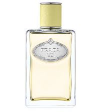 Infusion de Gingembre EDP | 100 ml