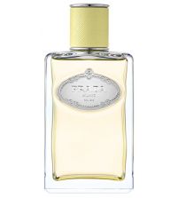 Infusion de Gingembre EDP | 100 ml