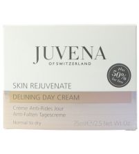 Rejuvenate & Correct Delining Day Cream | 75 ml