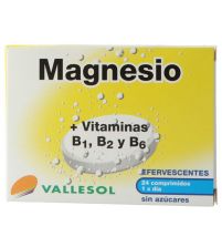 Magnesio Efervescentes | 24 uds