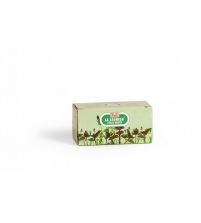 Poleo Menta  | 25 uds