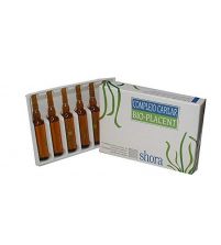 Shora Complejo Bio-Placent Anticaida | 6 uds