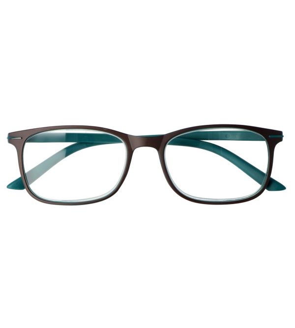 Gafas Presbicia +2,5, 30 gr - inca