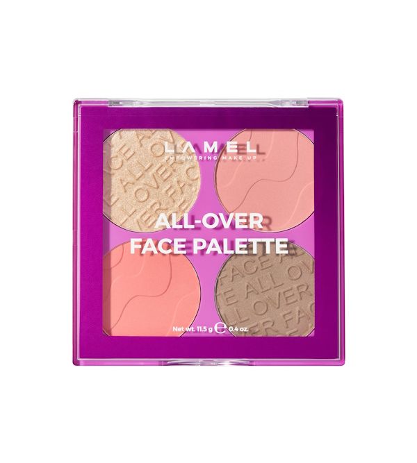 All-Over Face Palette 401