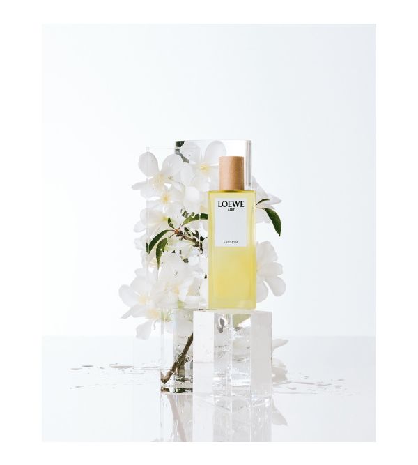 Loewe sales aire mujer